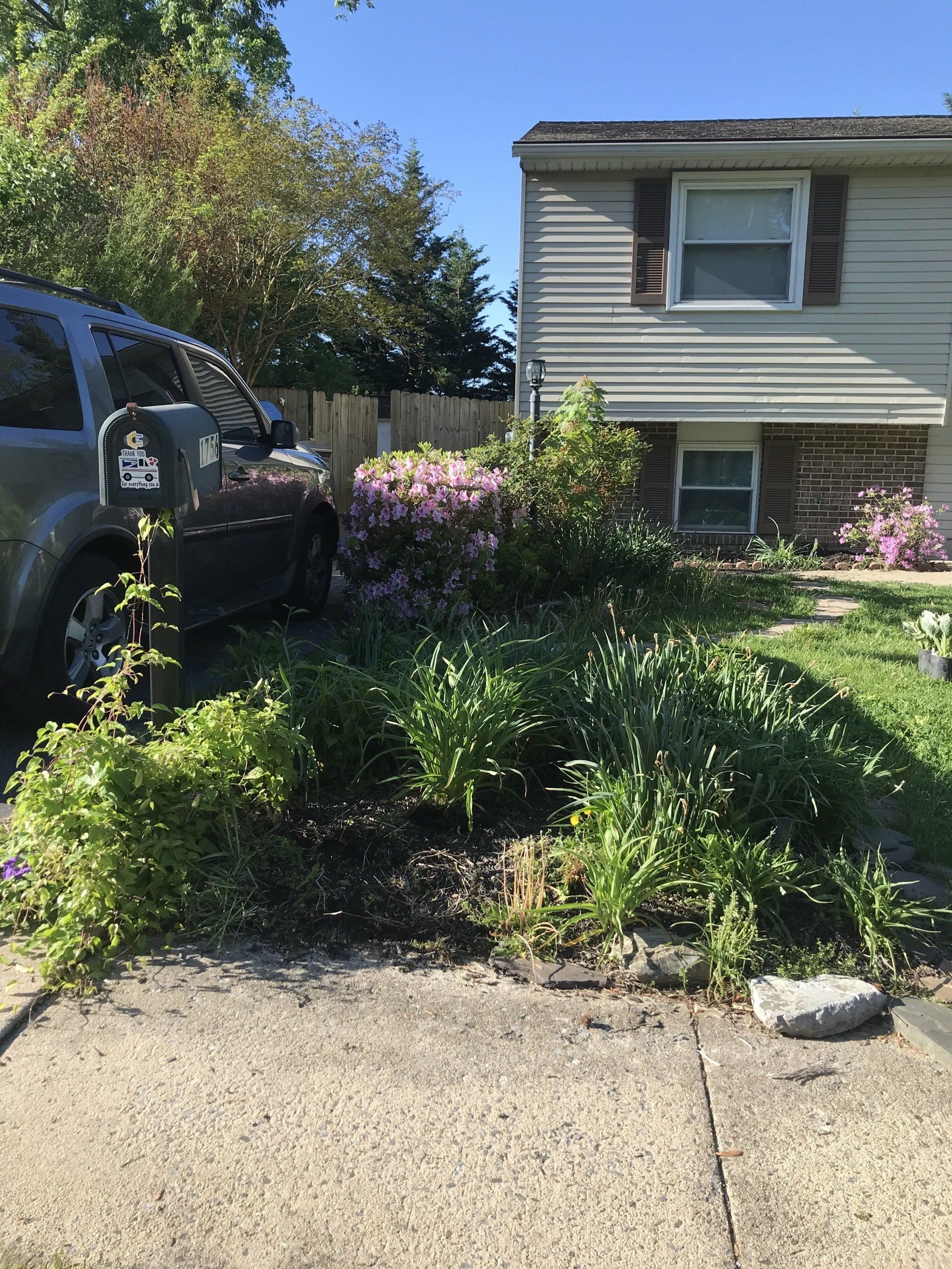 Landscaping Design and Maintenance Services