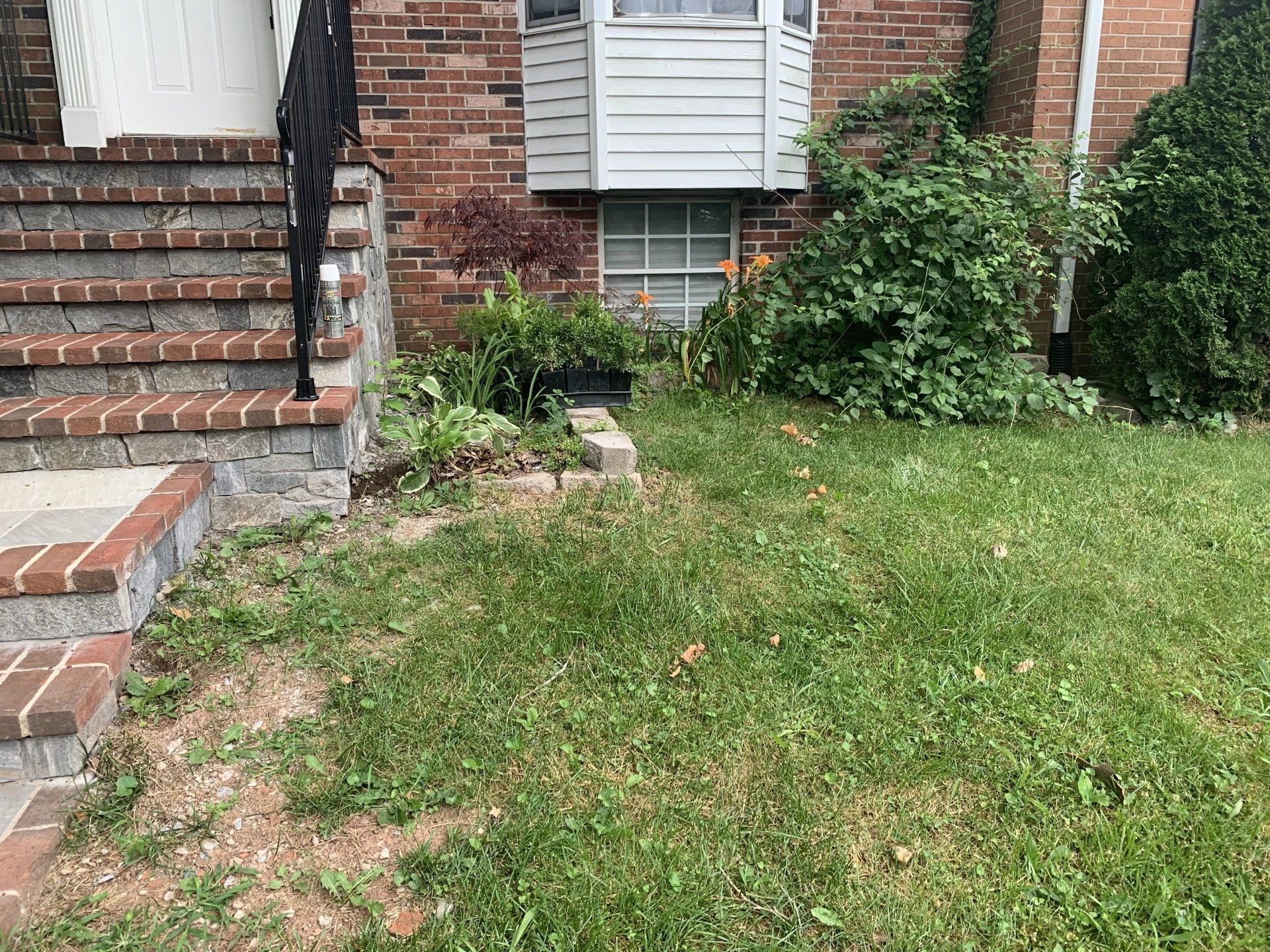 Spring and fall cleanup