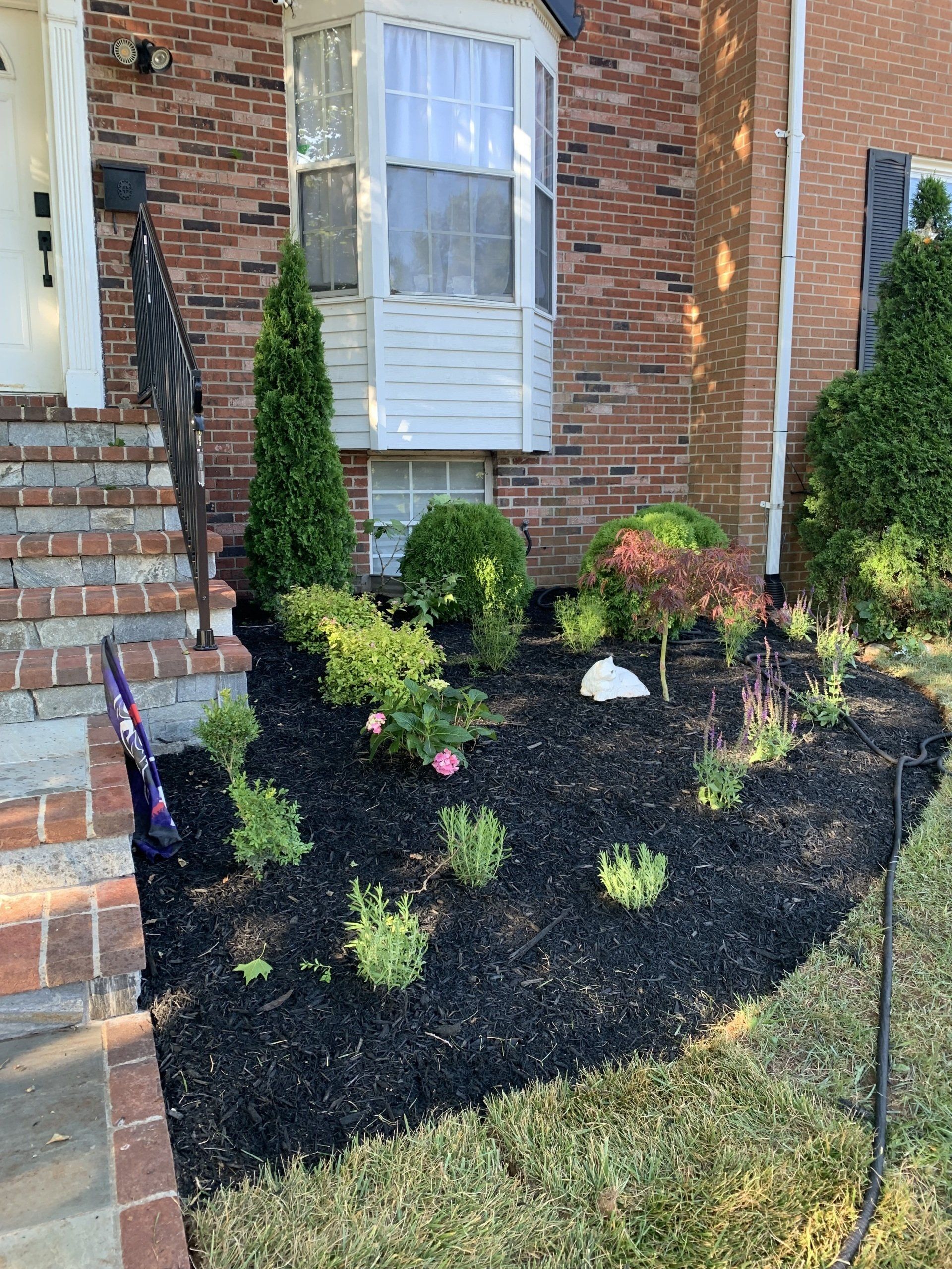 Planting trees and plants design