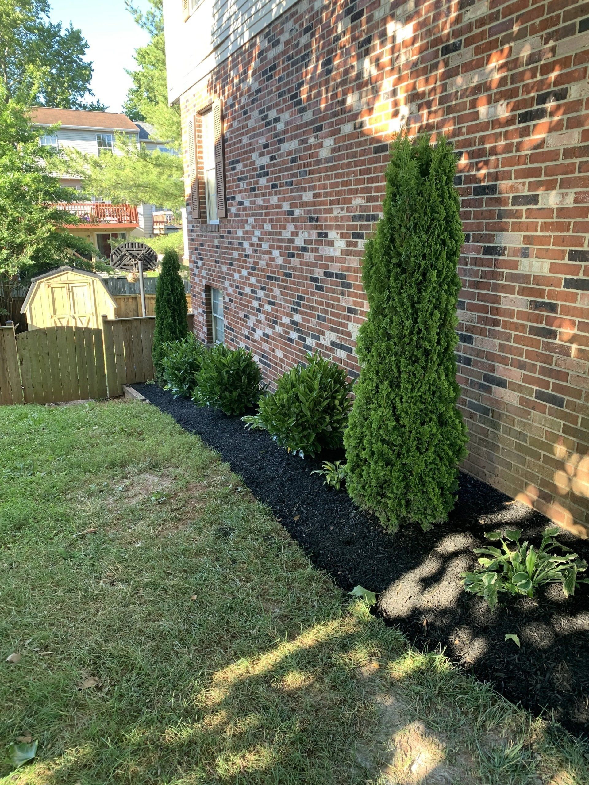 Planting trees and plants