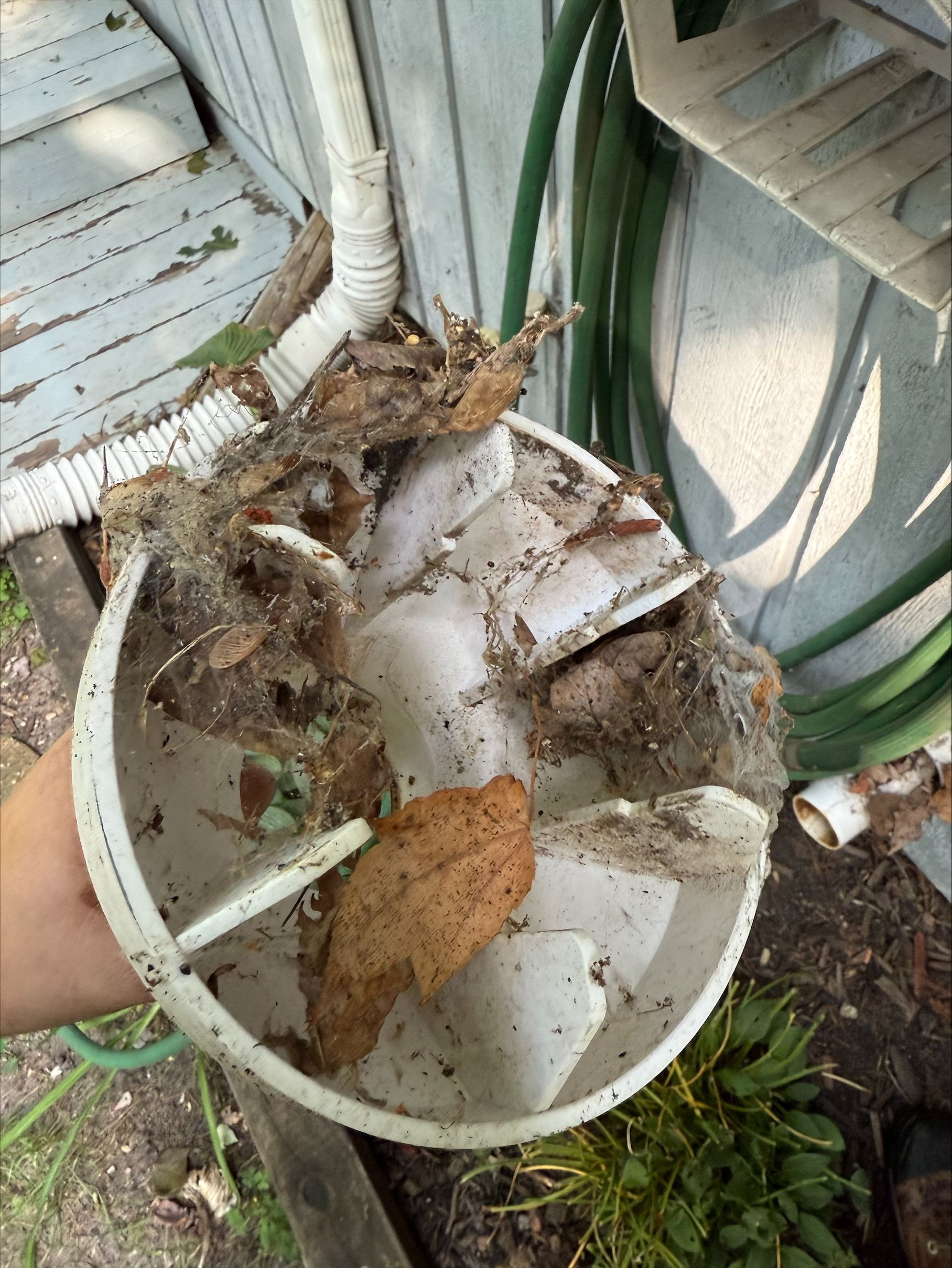 Broken white bucket filled with dirt and plant debris beside coiled green hoses outdoors
