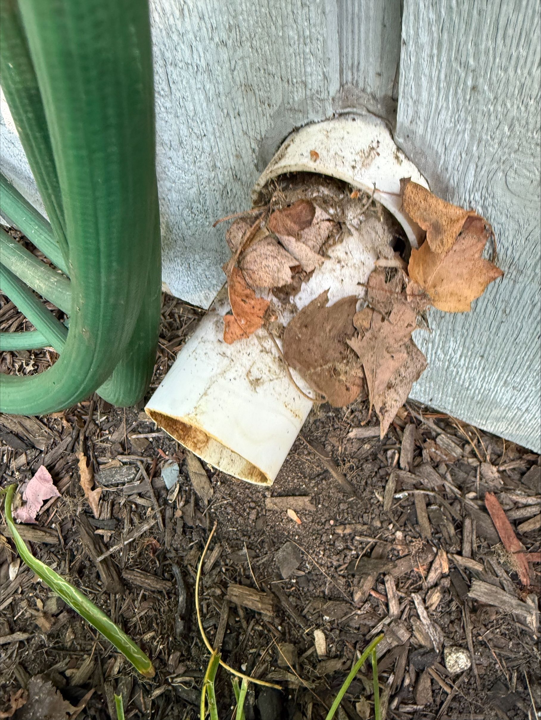 Broken white PVC pipe near a wall, partially covered in dirt and leaves beside a green hose.