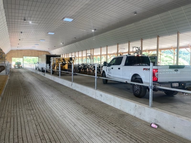 A white truck is parked in a barn with cows.