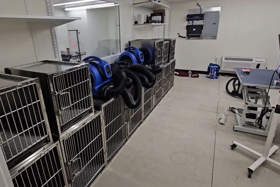 Row of metal pet kennels in a clinic, with blue dryers on top.  A grooming table and equipment are also in the room.