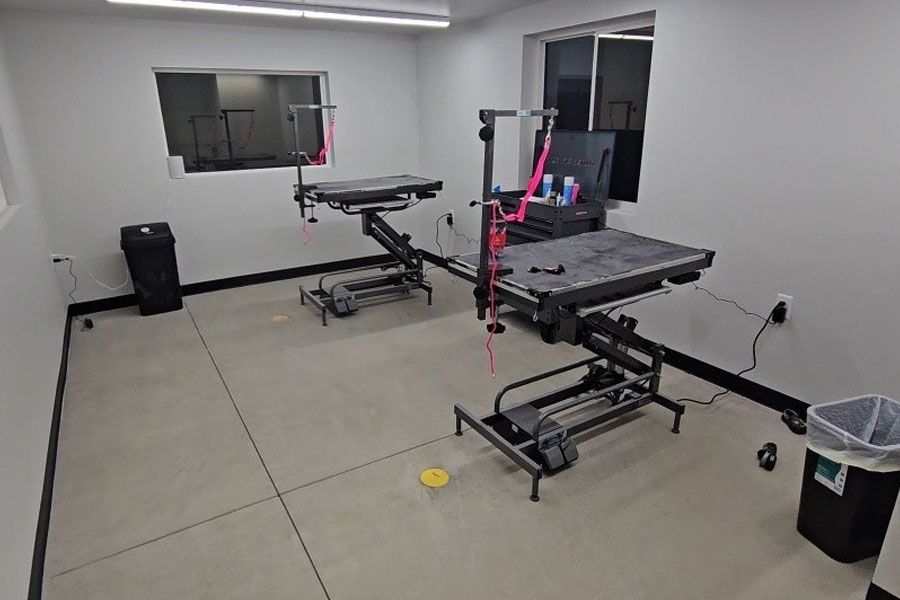 Two dog grooming tables in a white room. One table is near a window, the other by a dark trash can.