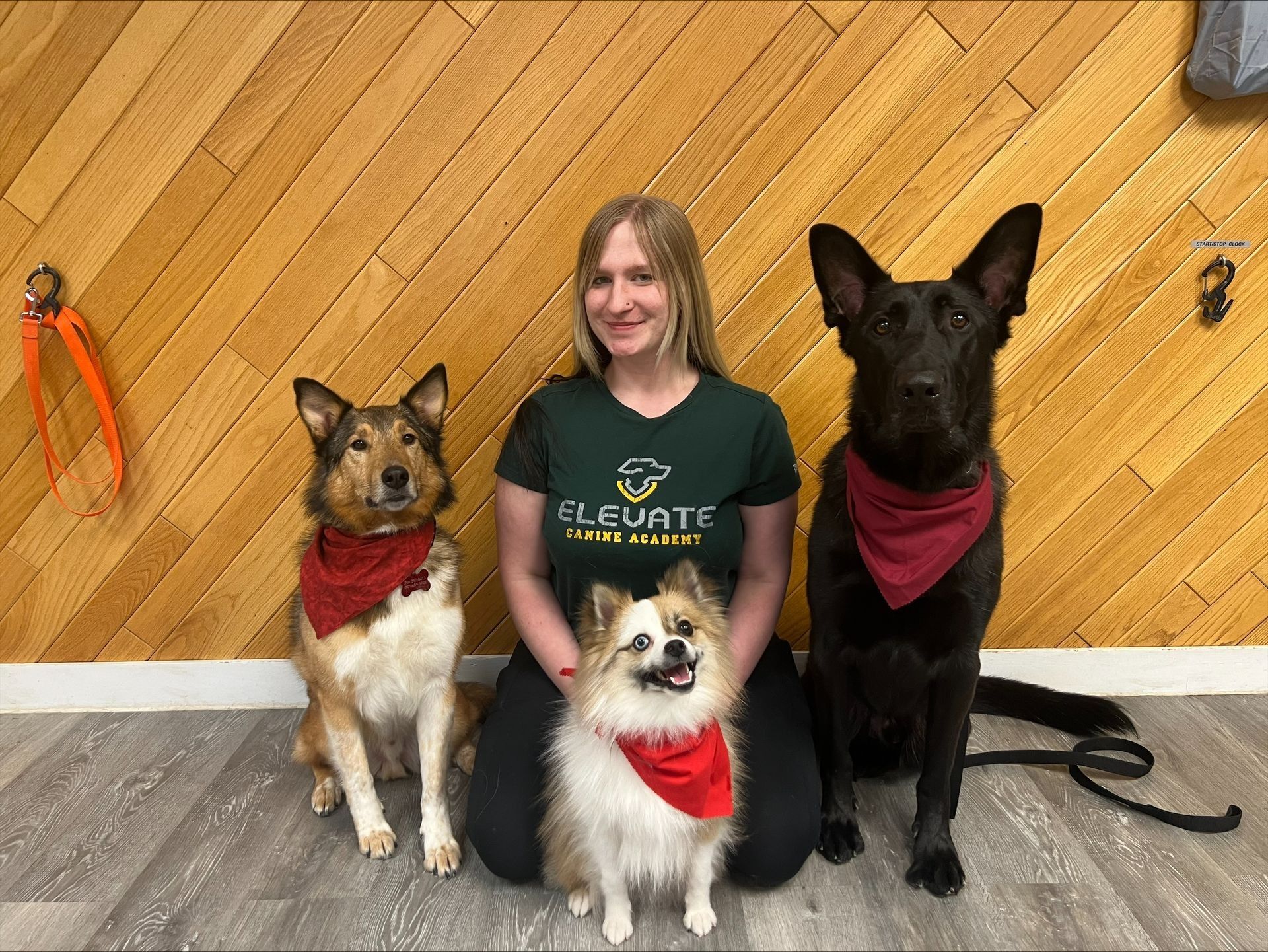 Photo of {{Team Member Name}}