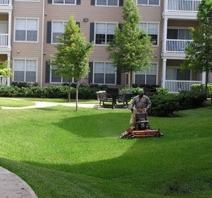 Premium lawn maintenance services