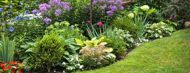 About Superior Lawn Maintenance Inc. Beaumont TX Lawn