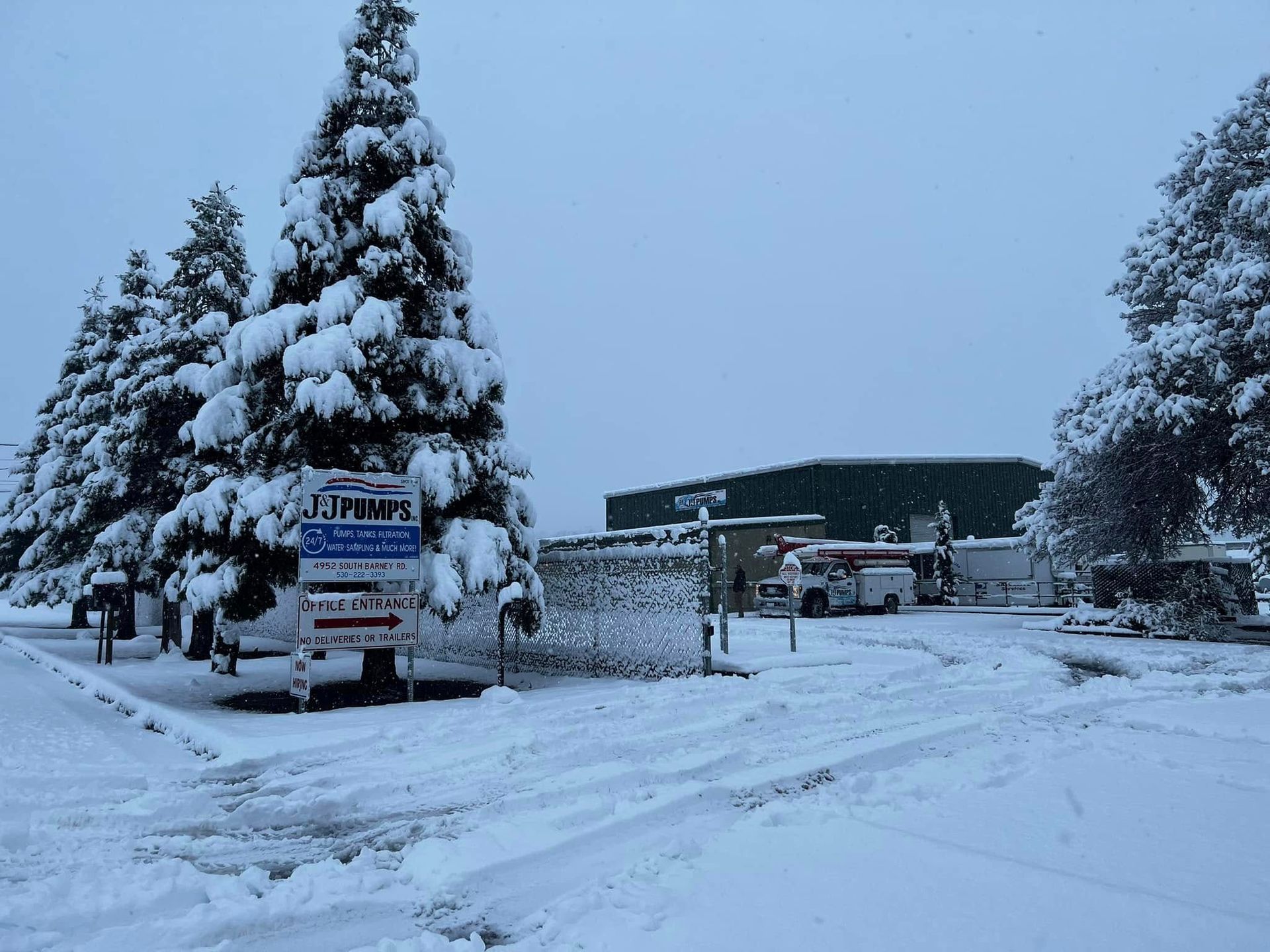 Snow-covered street with a large evergreen tree, parked van, and buildings under a wintry sky