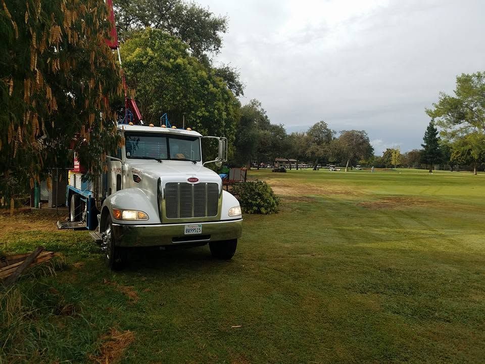 White truck parked on grass beside trees and a wide open field under a cloudy sky