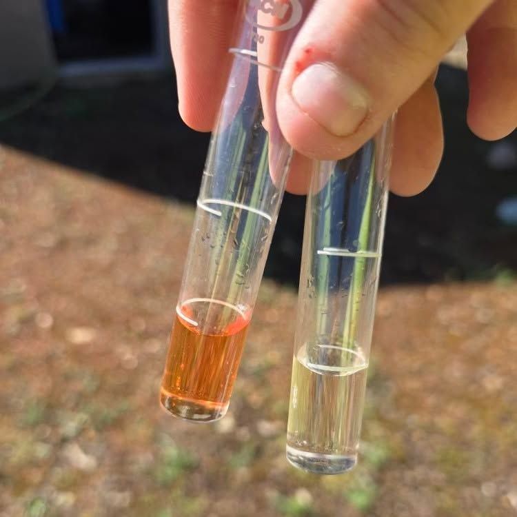 Hand holding two test tubes, one with orange liquid and one clear, against a blurred outdoor background