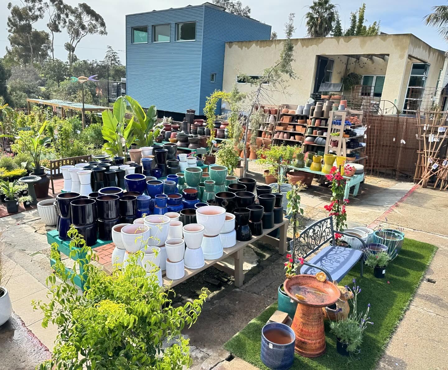 A plant nursery with rows of colorful pots, tables, a bench, and a blue modern building in the background.