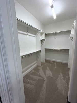 A walk-in closet with white walls, beige carpet, and built-in shelving with hanging rods.