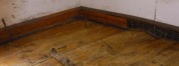 Damaged hardwood floor