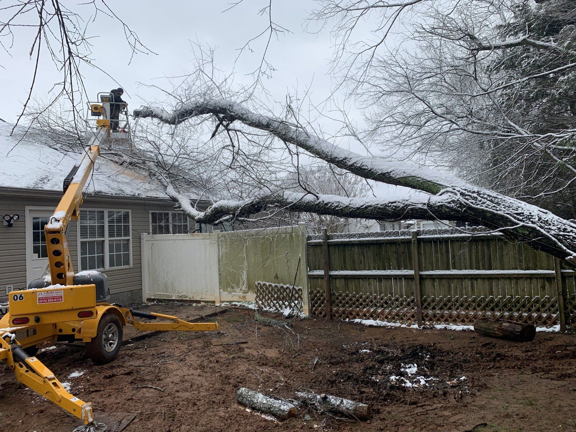 A large tree is fallen on top of a house.