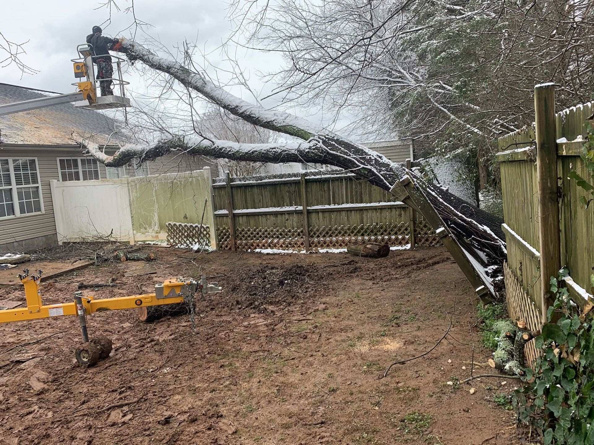 A tree is fallen on the roof of a house.
