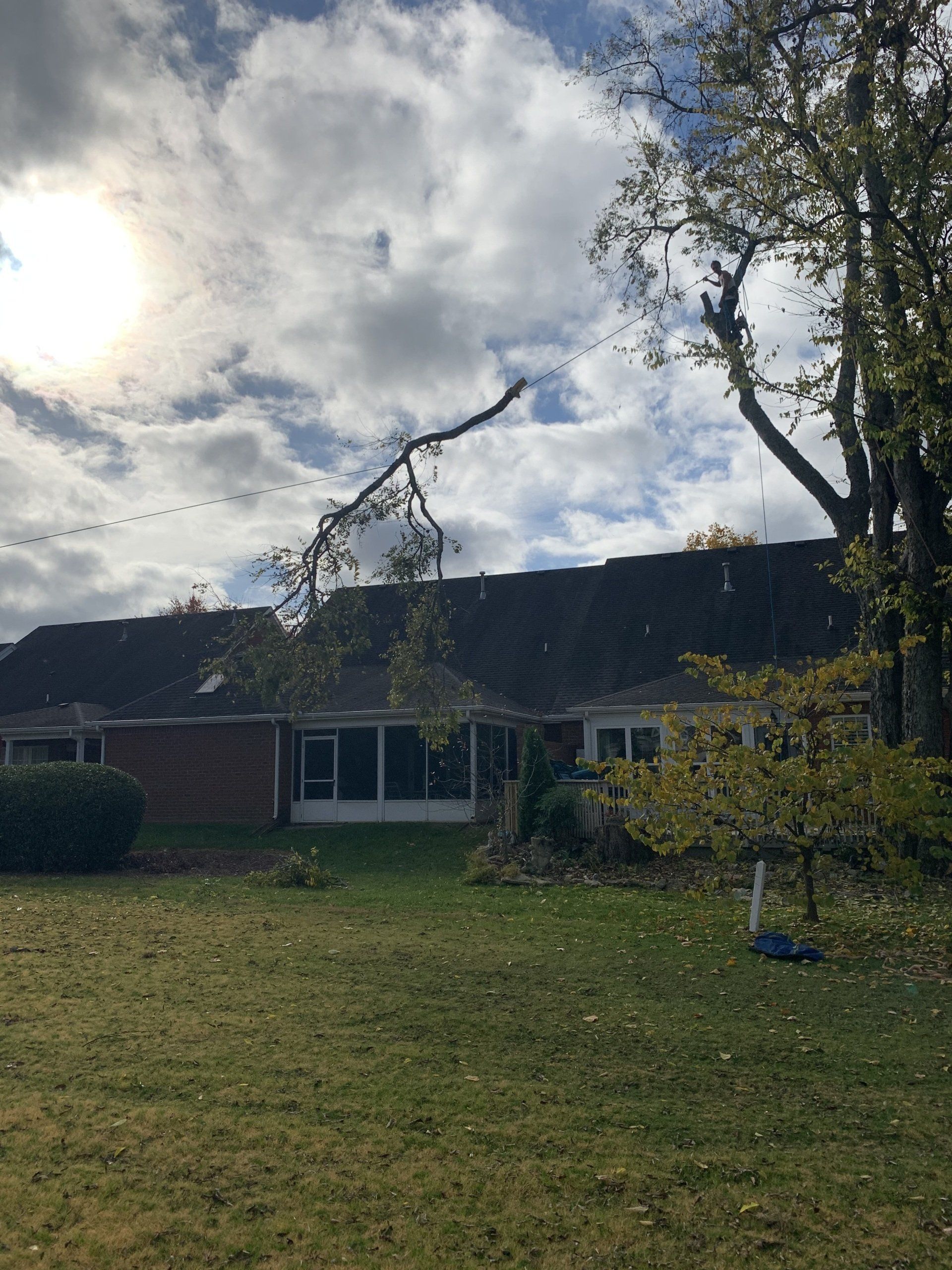 A house with a tree branch on the roof.