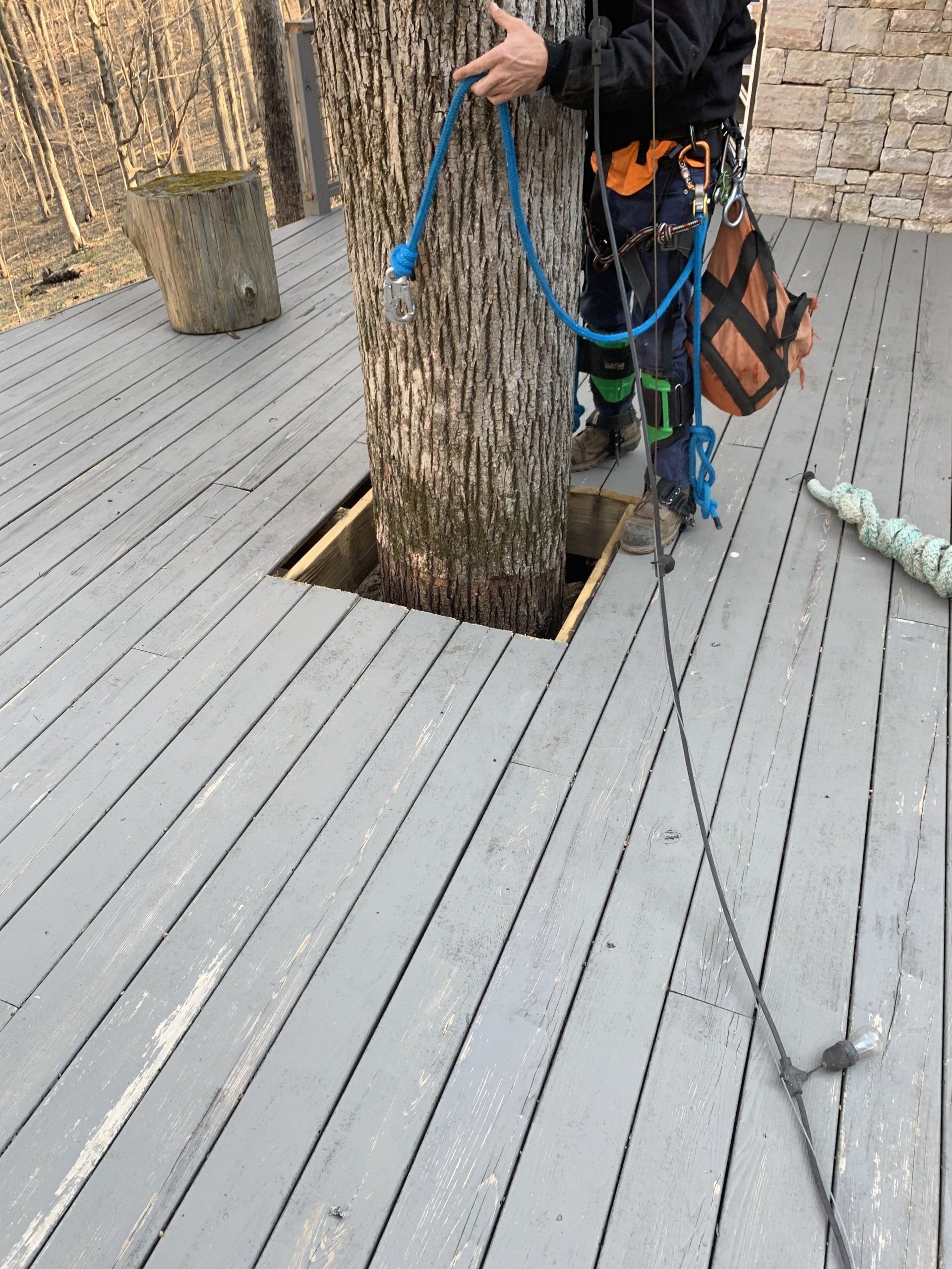 A man is standing next to a tree on a wooden deck.