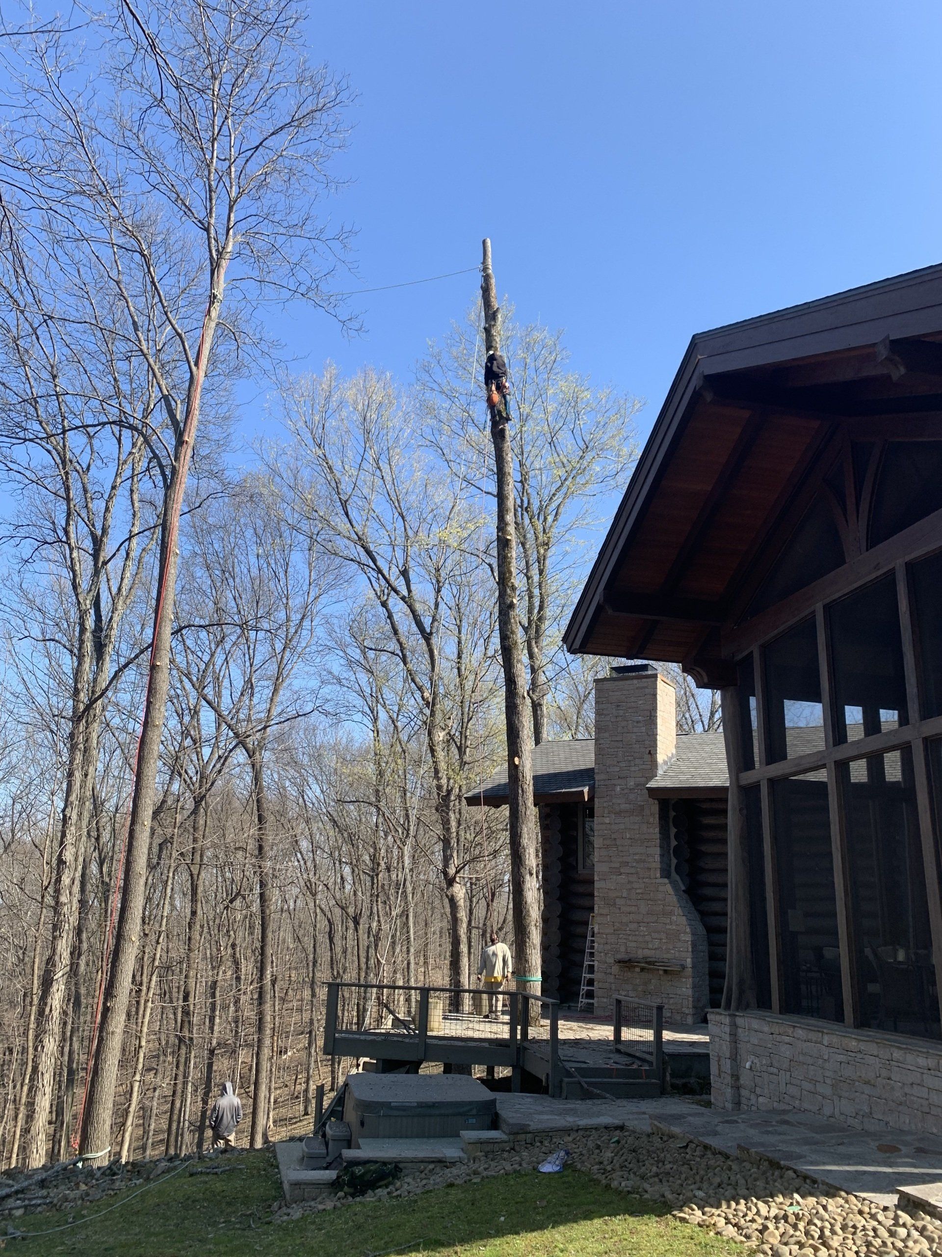A house with a screened in porch and trees in the background.