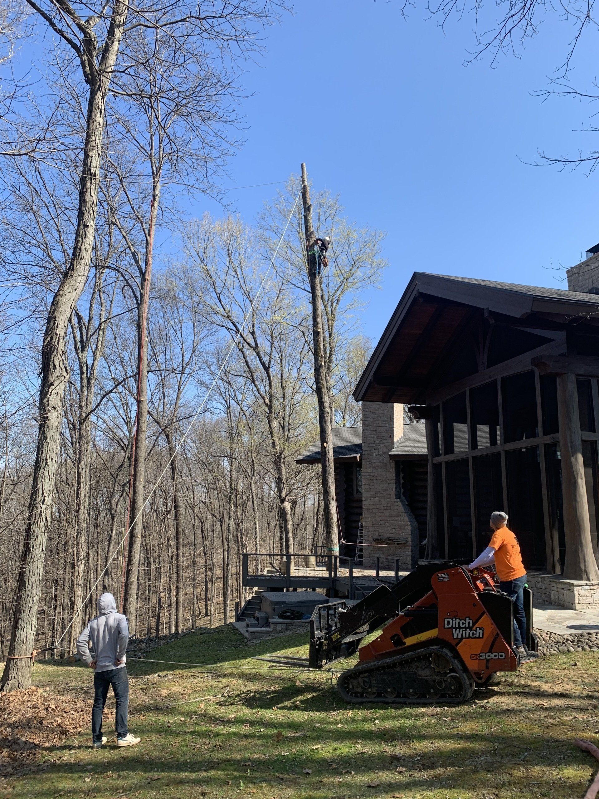 A man is standing in front of a house looking at a tree being cut down.