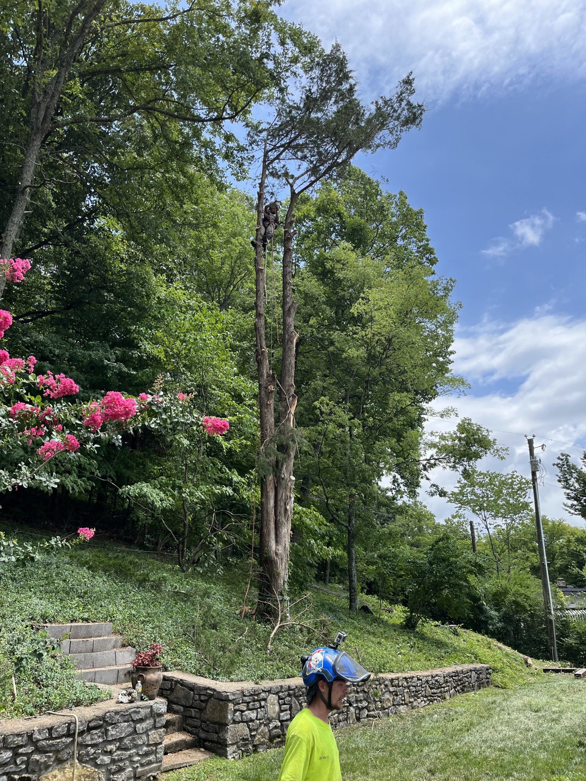 A man wearing a helmet is standing in front of a tree.