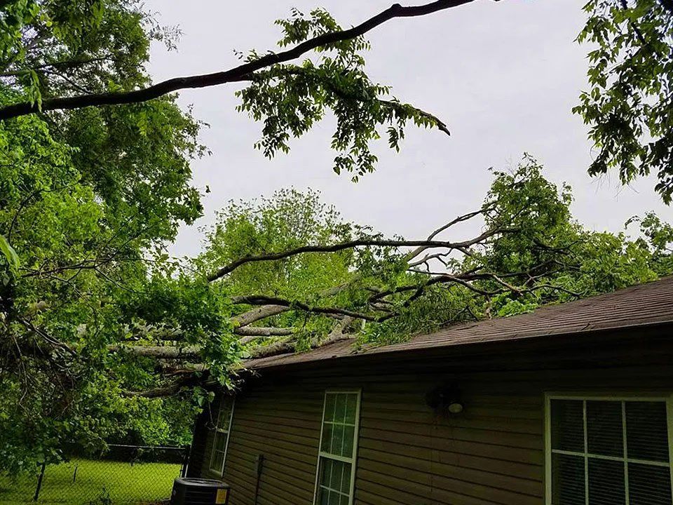 Storm damage