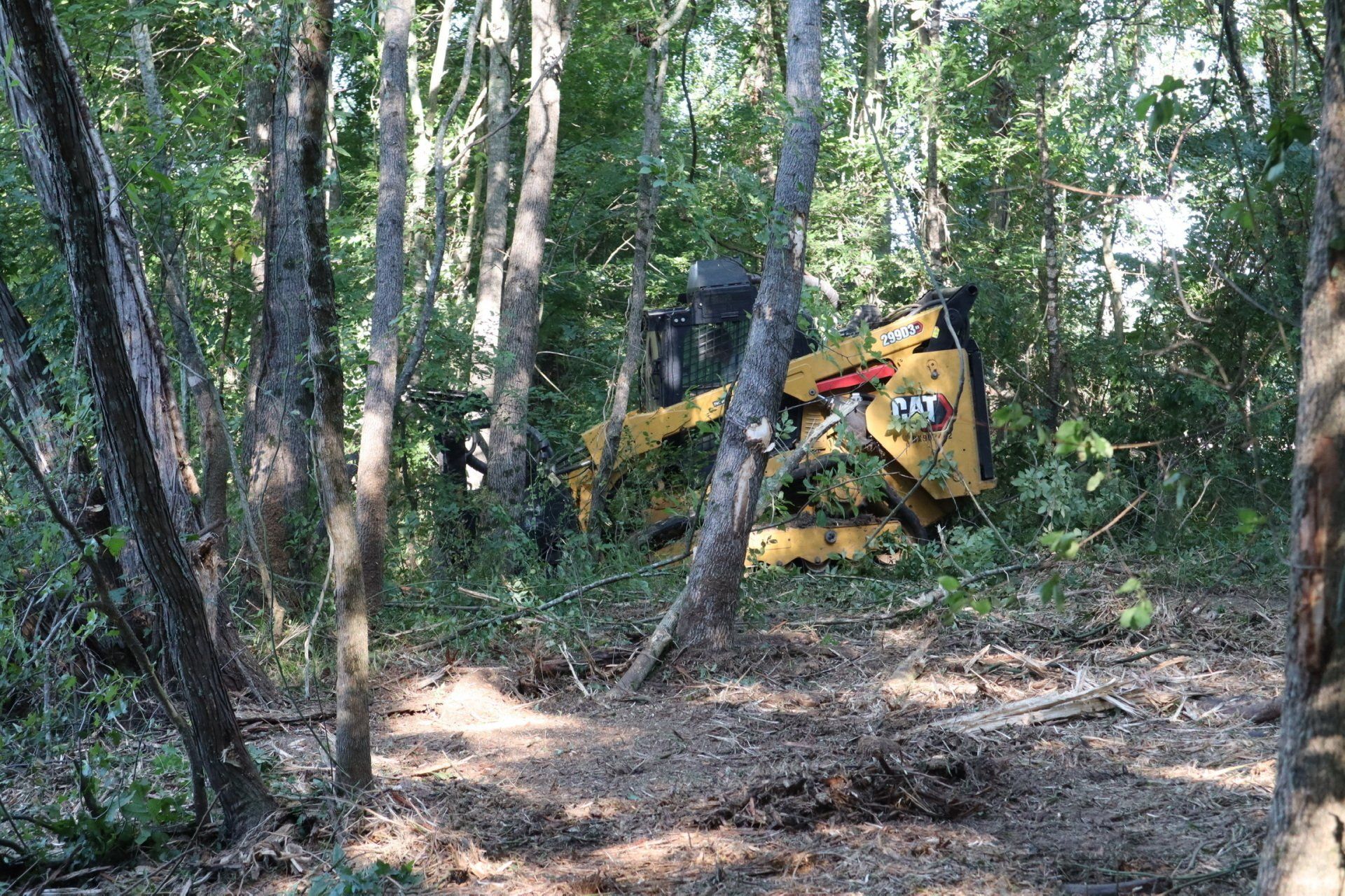 A bulldozer is sitting in the middle of a forest.
