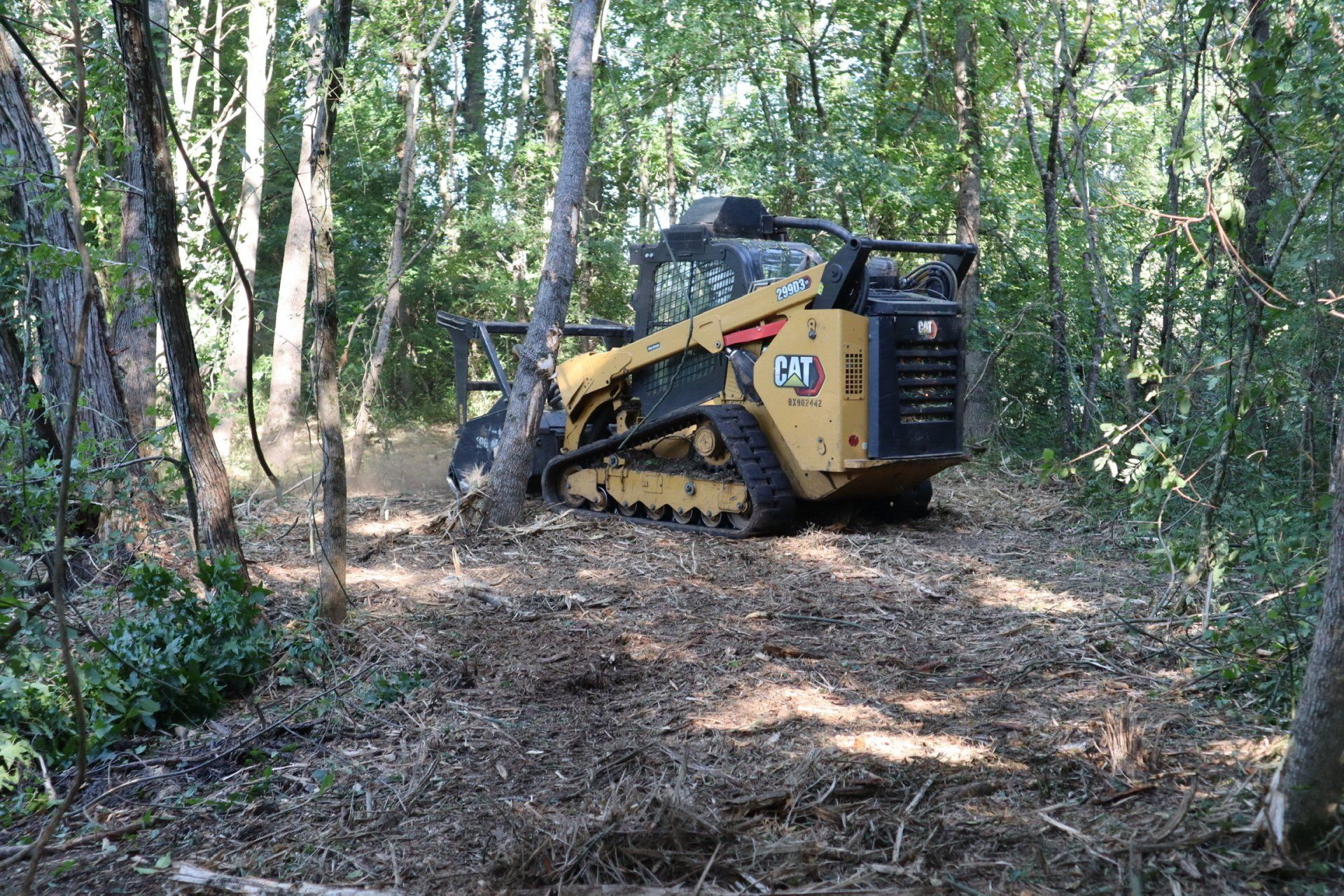 A bulldozer is sitting in the middle of a forest.