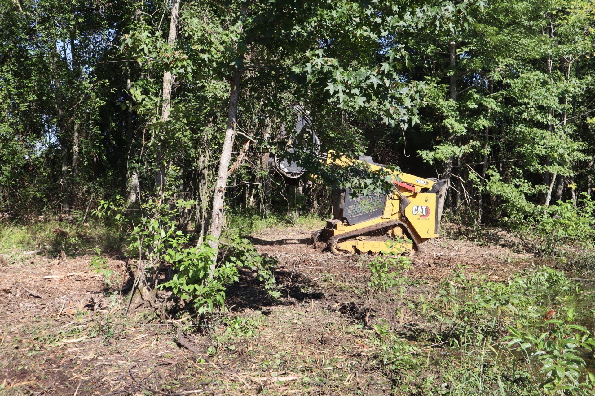A yellow bulldozer is cutting down trees in a forest.