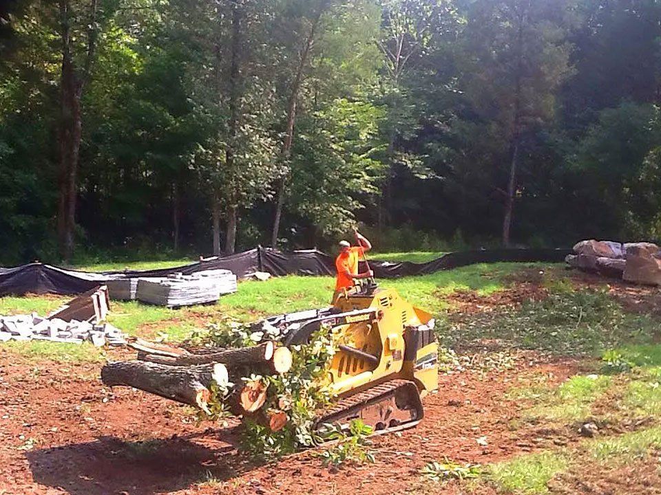 Land Clearing