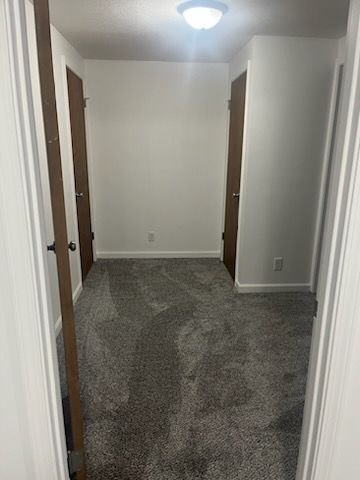 An empty room with a carpeted floor and two doors.