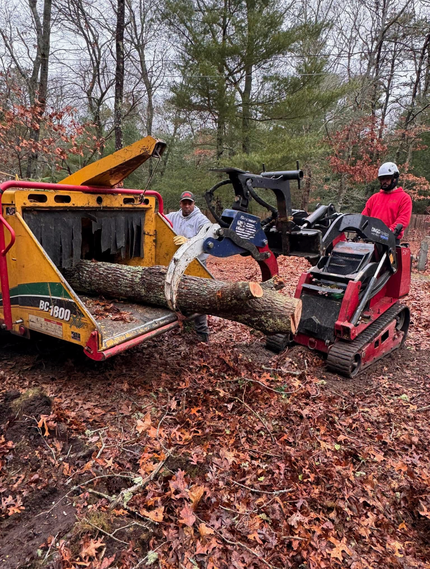 Tree Busters