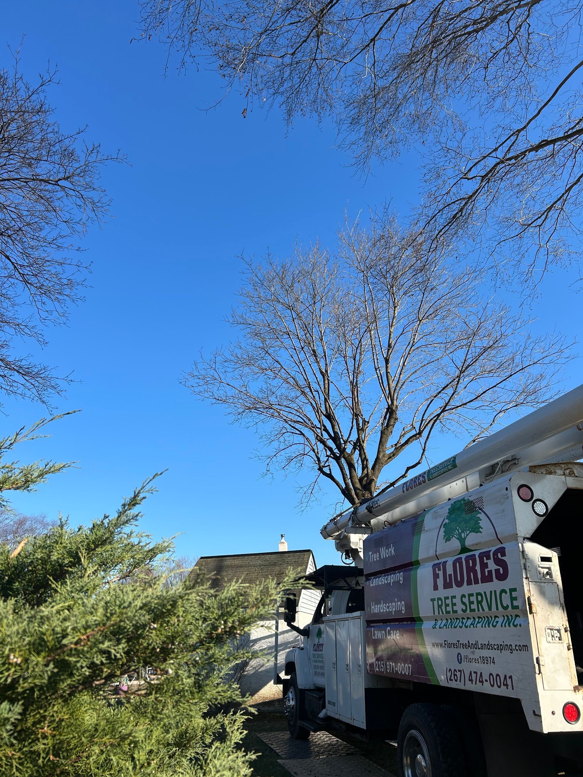 A Flores Tree Service truck parked on a sunny day with bare trees against a clear blue sky.