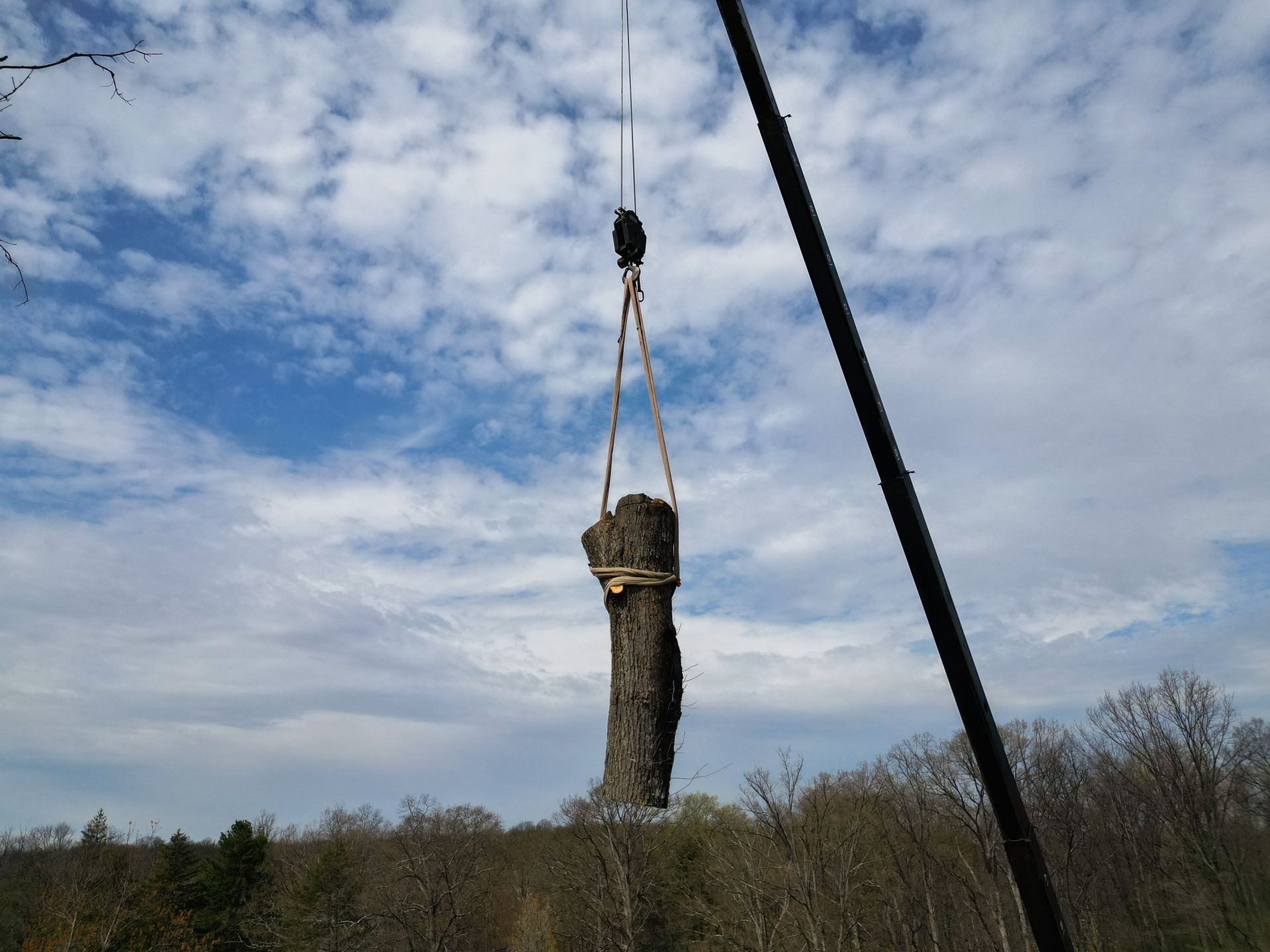A tree trunk is being lifted by a crane against a cloudy sky above a wooded field.
