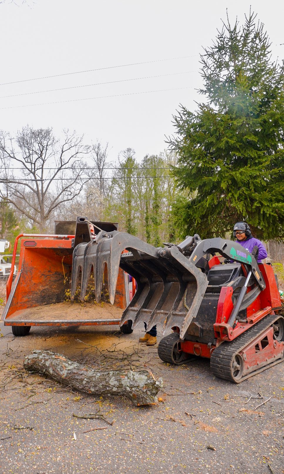 Orange construction loader carrying a large log beside a red skid-steer on a gravel road in a wooded area