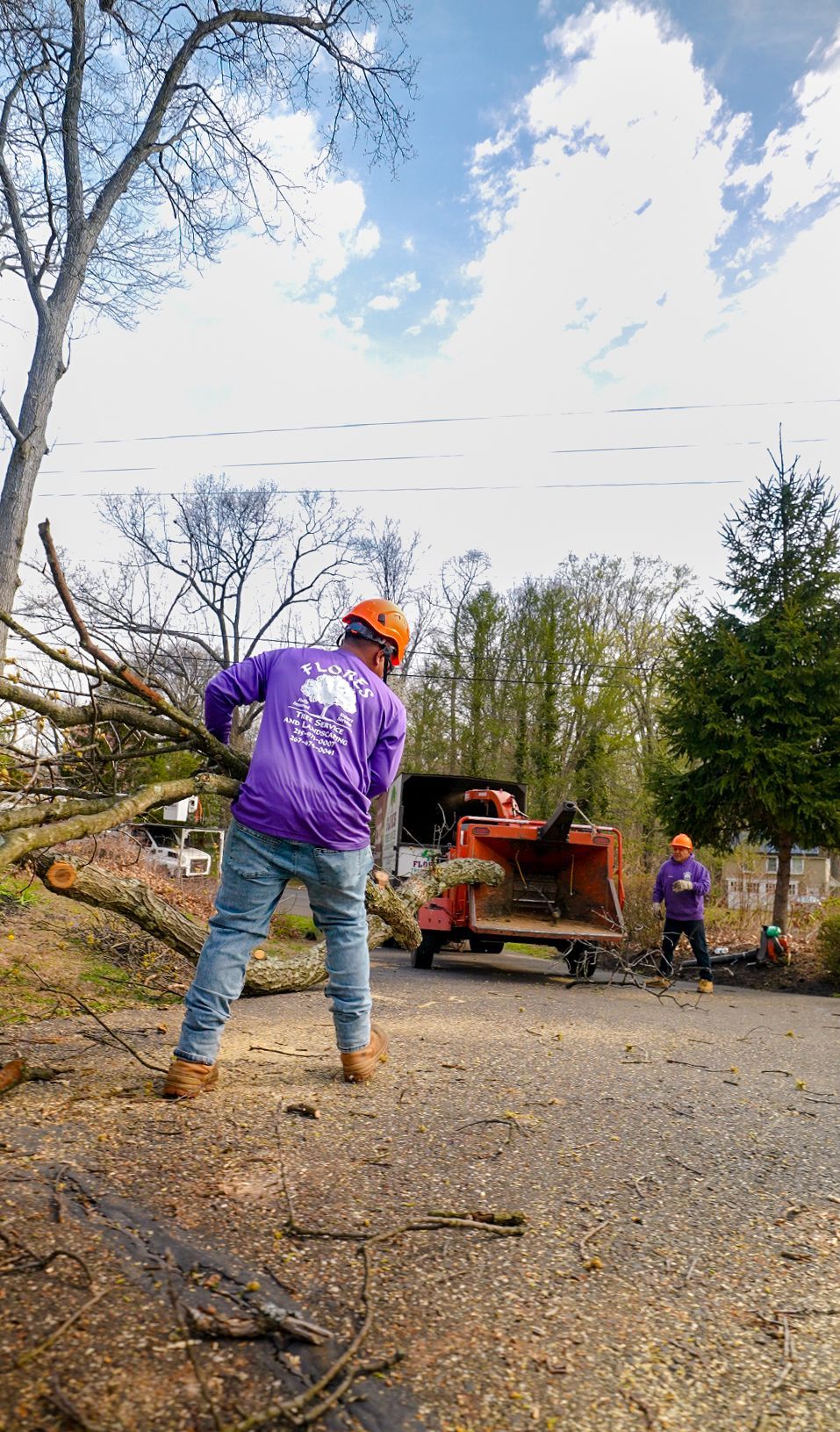 Worker in purple shirt near a wood chipper on a gravel lot, with trees and power lines overhead.