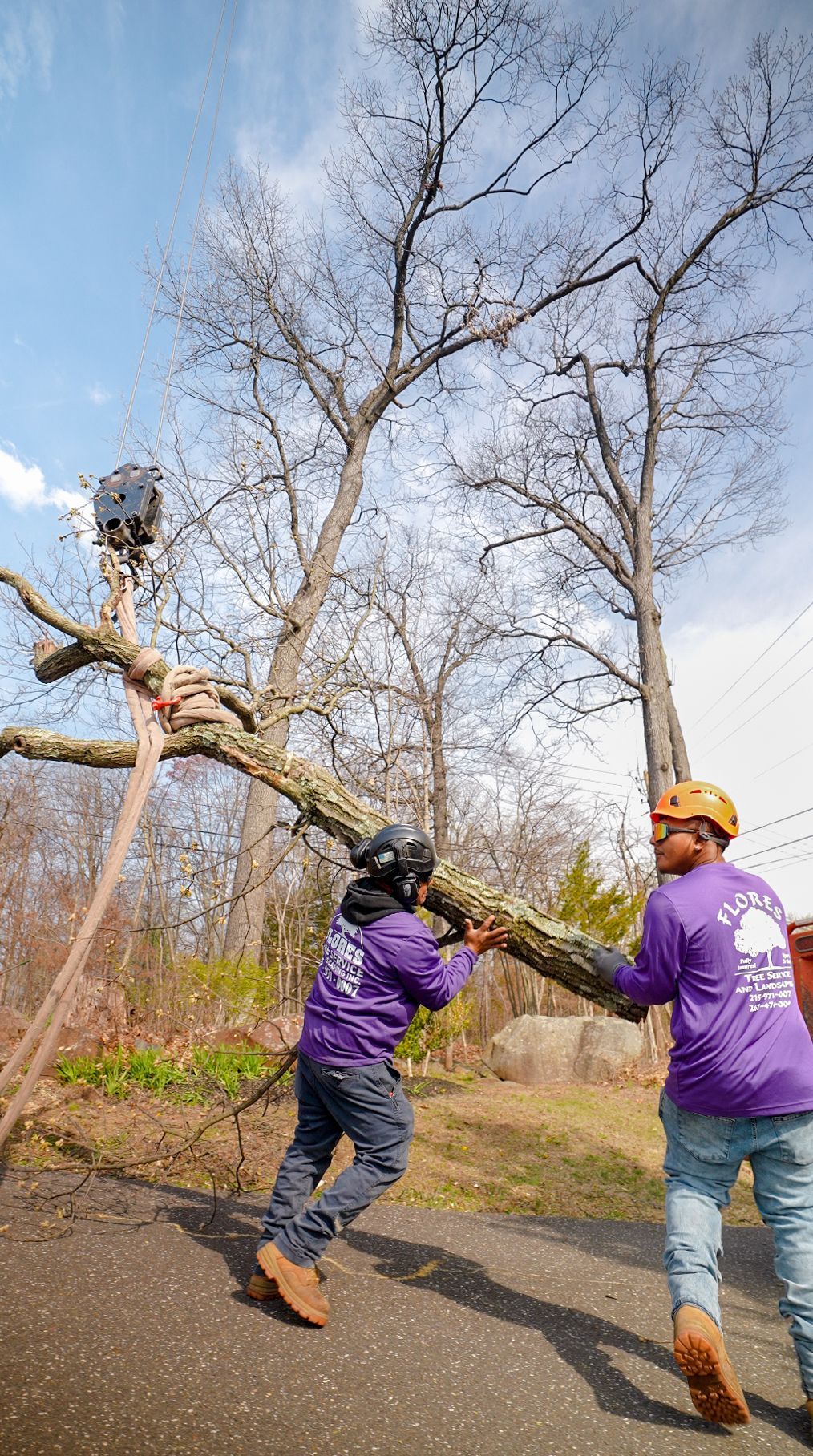 Two people in purple shirts lift a fallen tree branch on a road under a blue sky