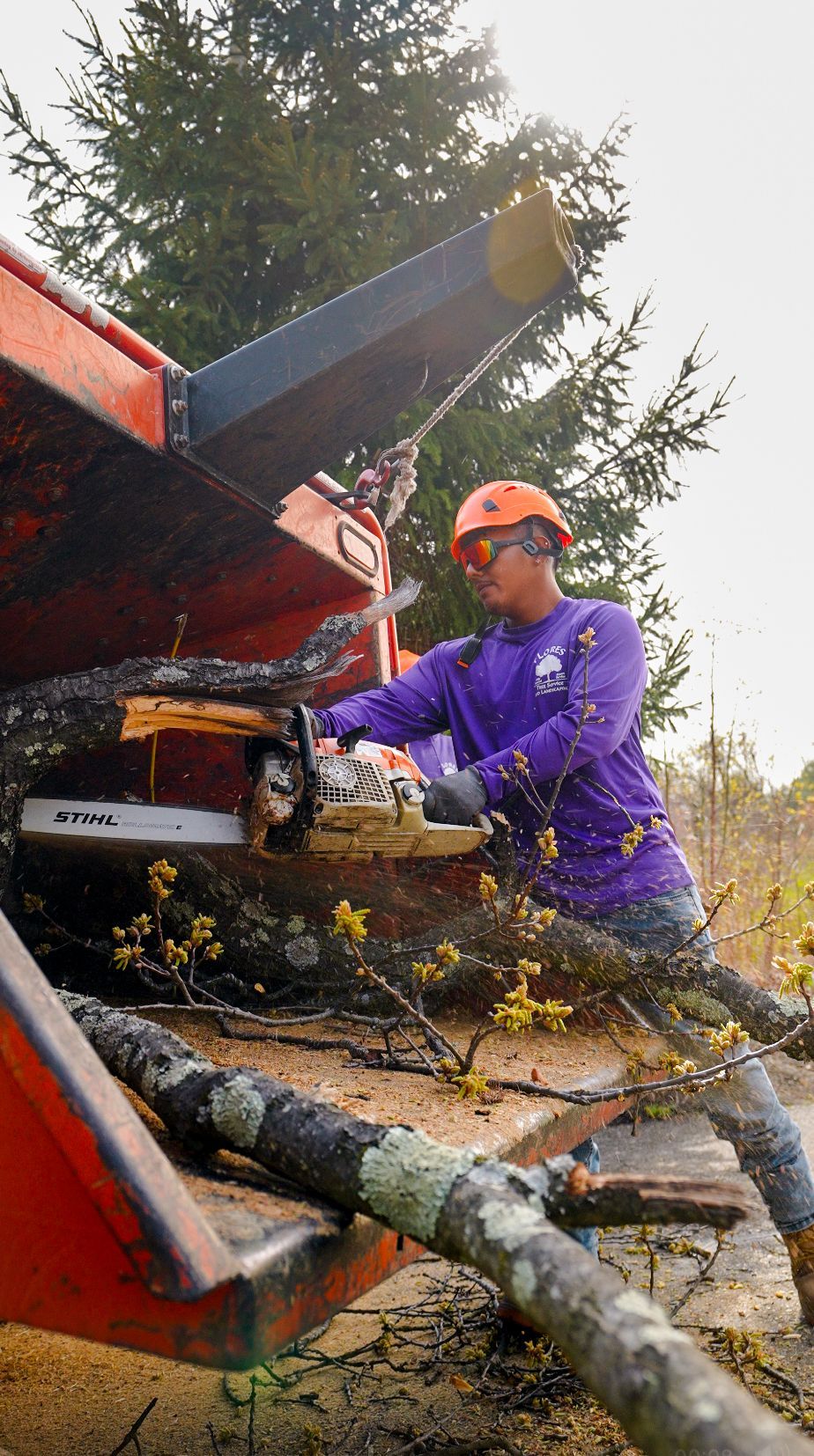 Worker in purple gear operating a wood chipper, feeding branches outdoors.