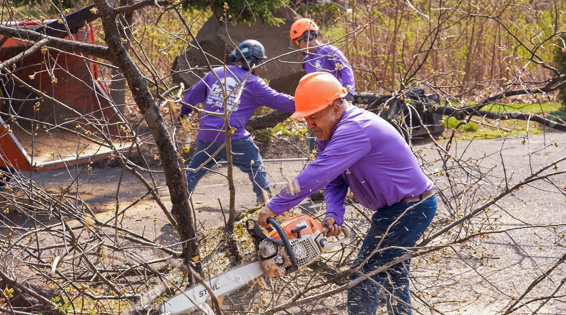 Workers in purple jackets and orange helmets clearing branches with chainsaws outdoors