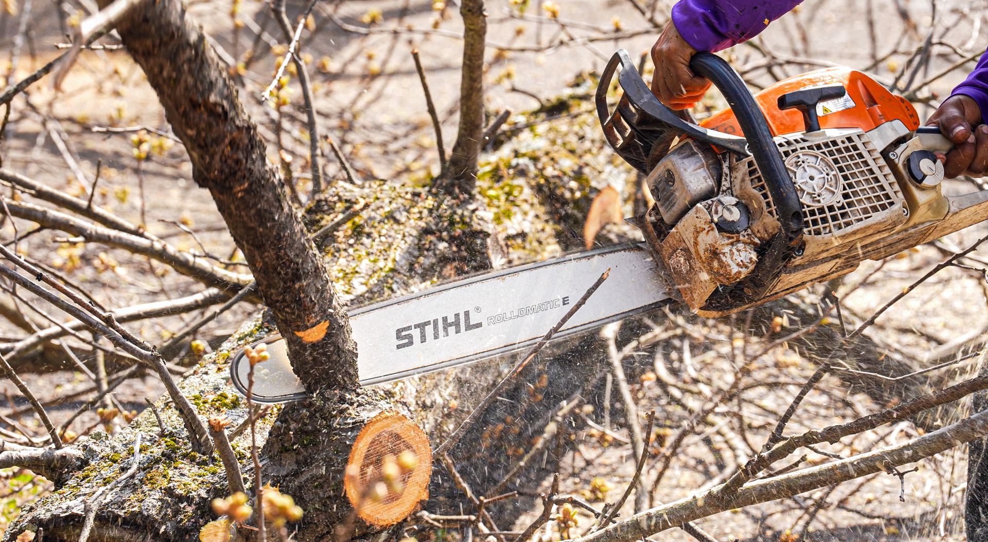 Chainsaw cutting through tree branches in a wooded area, with orange and white saw and gloved hand.