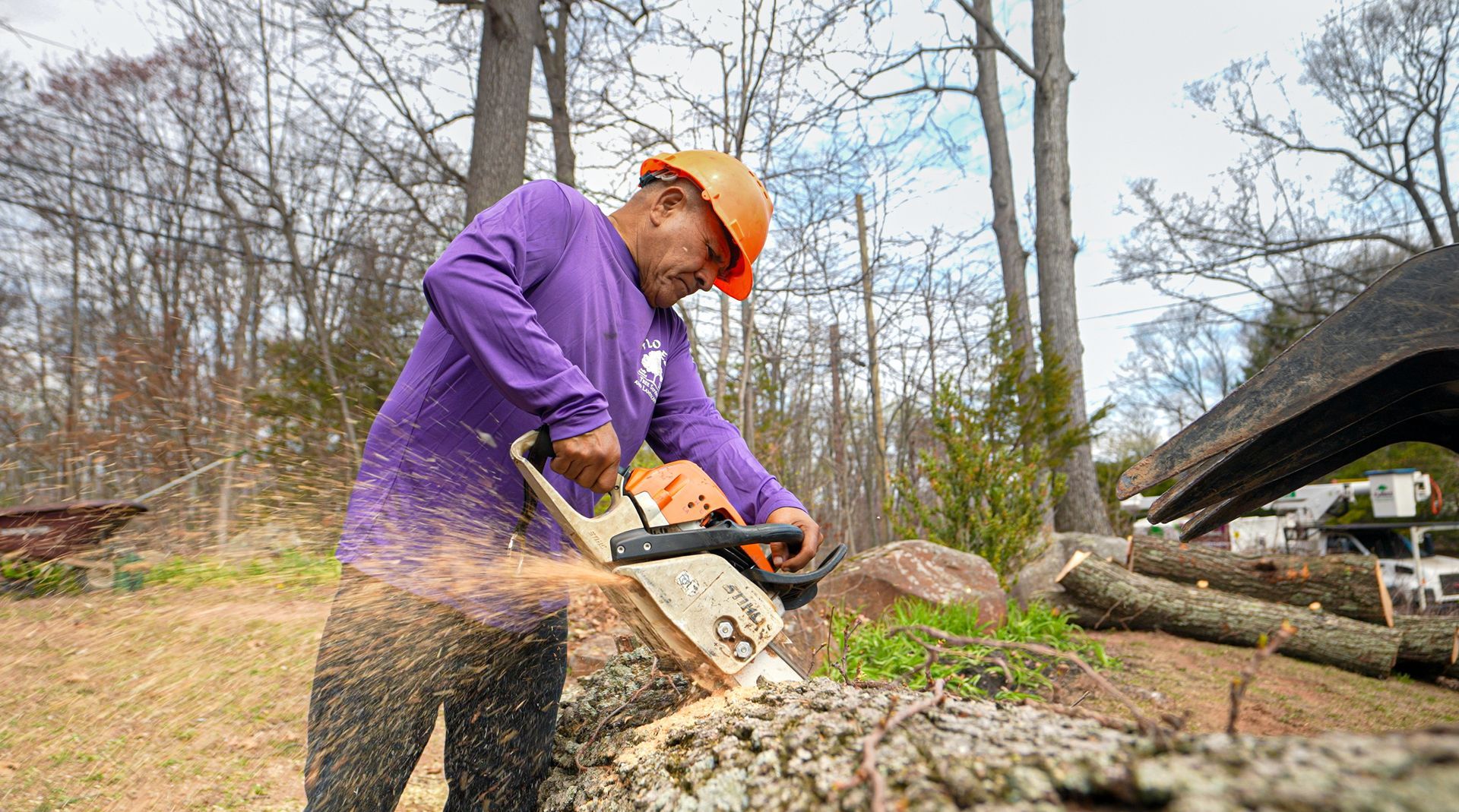 Person in purple jacket and orange hard hat using a chainsaw to cut a log outdoors