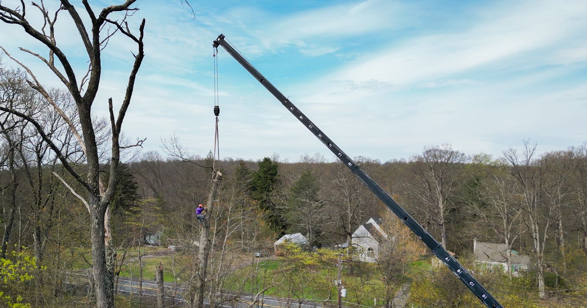 Crane lifting a hanging load over a wooded area under a blue sky