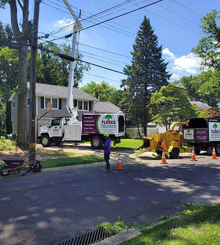 Tree service truck with lift trimming tree near power lines; street setting, sunny.