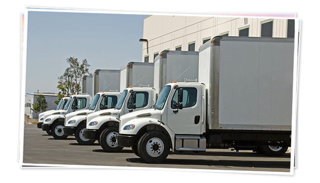 Freight brokerage trucks