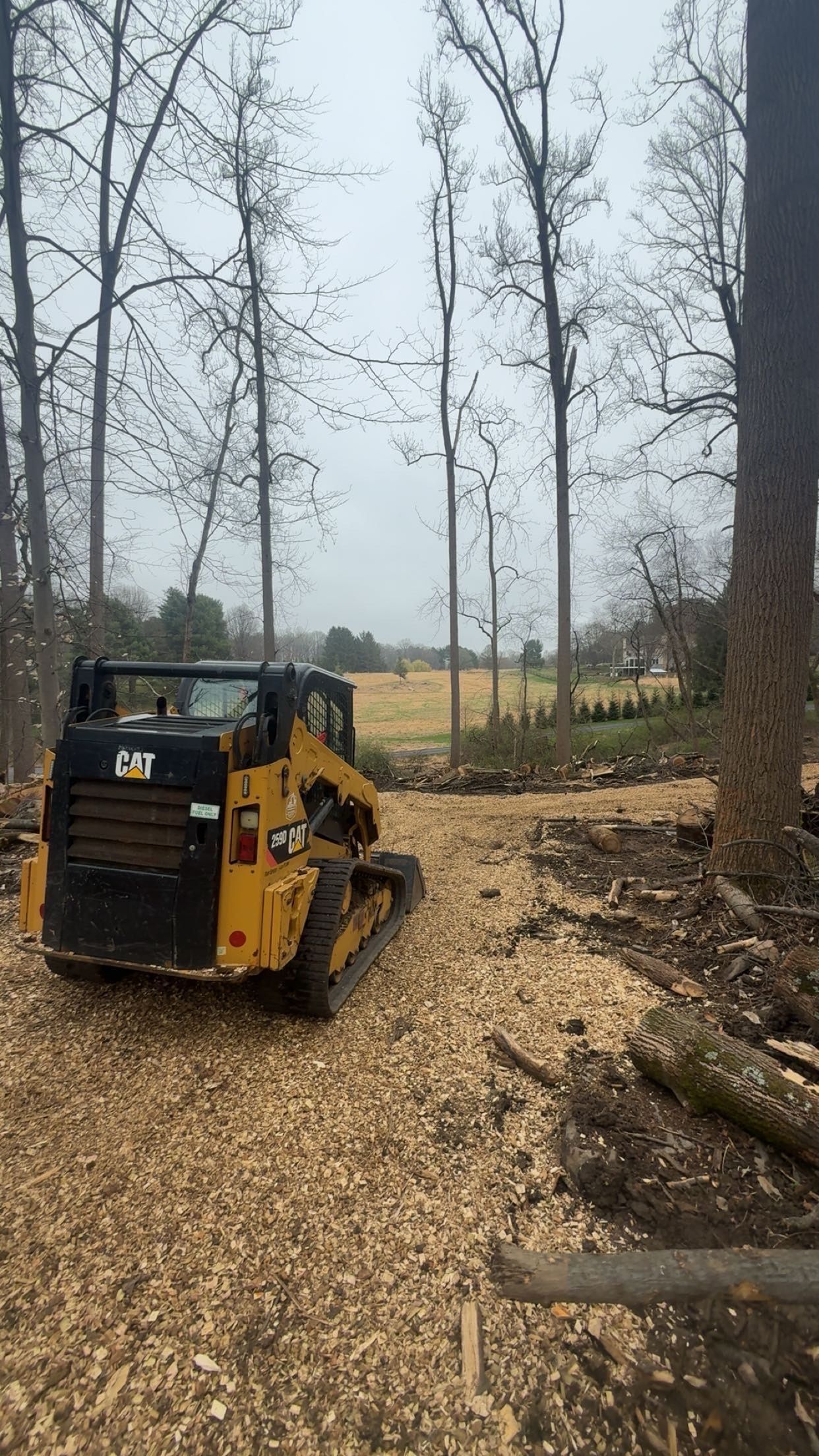 Yellow skid steer on a leaf-covered wooded path with bare trees and a field beyond.