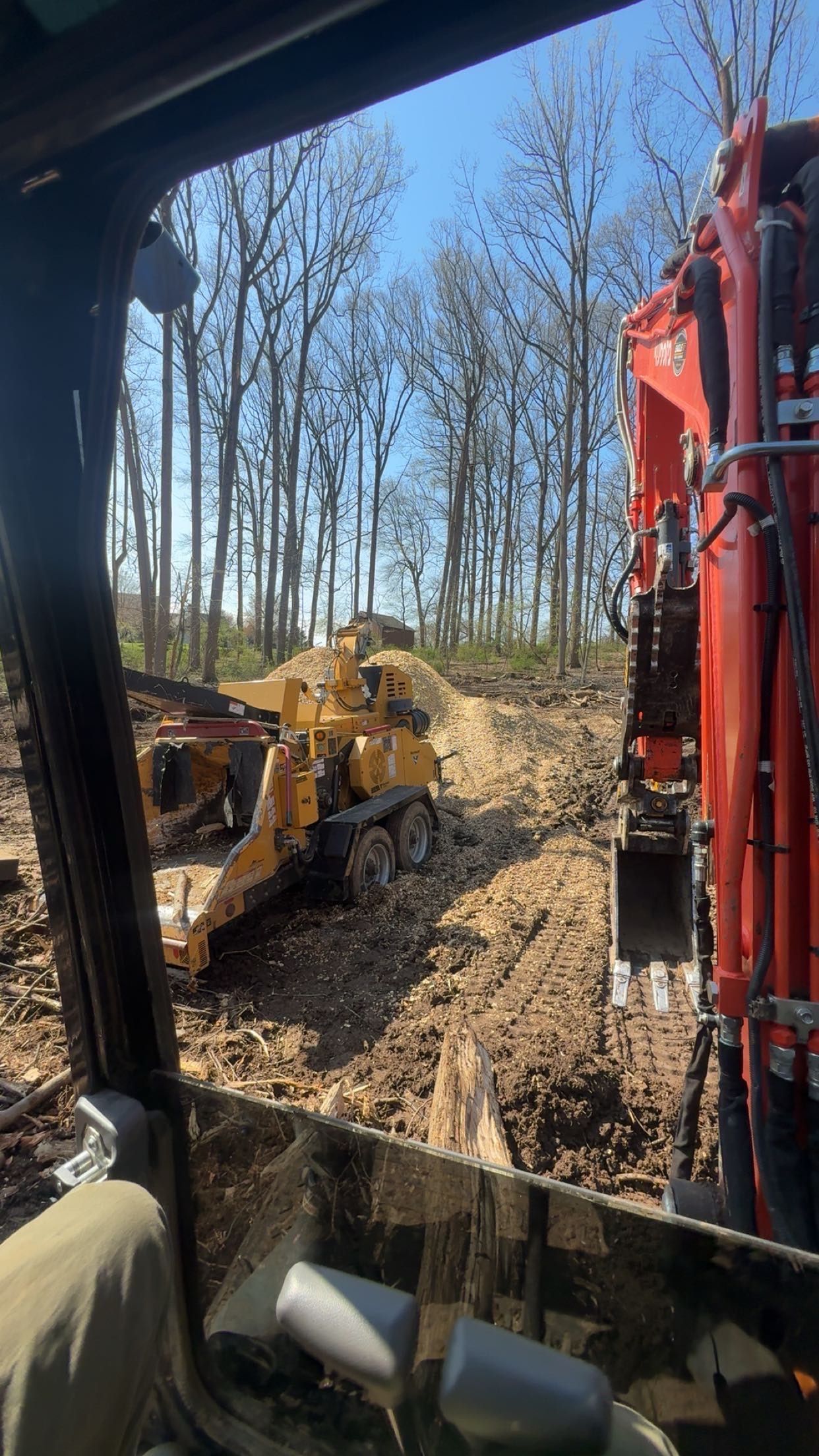 Construction equipment digging dirt in a wooded area with leafless trees in the background