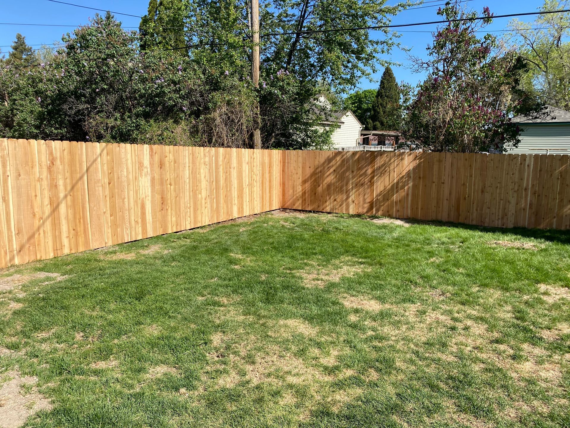 Wooden fence encloses a green lawn with trees and a house in the background on a sunny day.