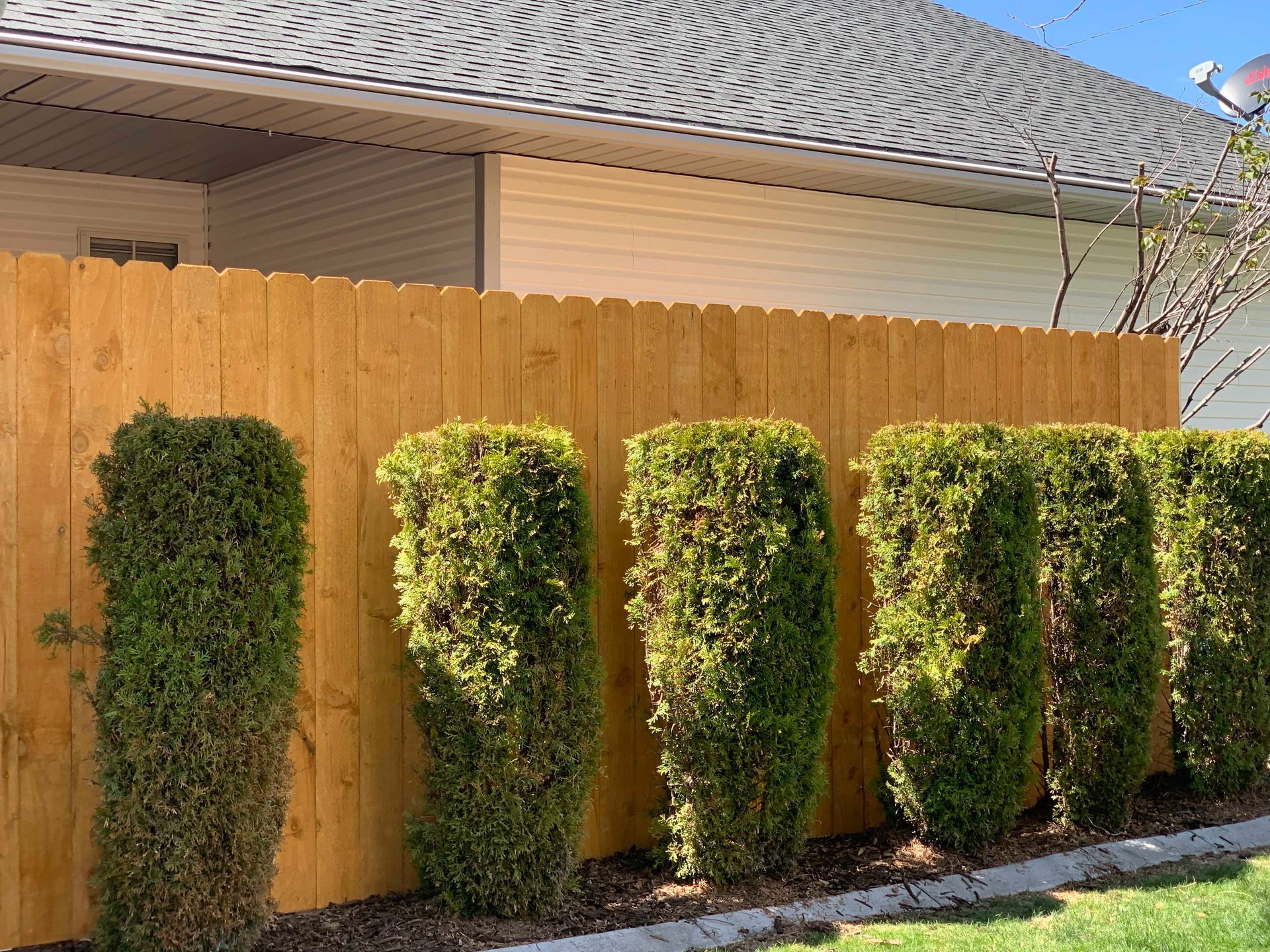 Wooden fence with trimmed green bushes lined up in front. House in background.