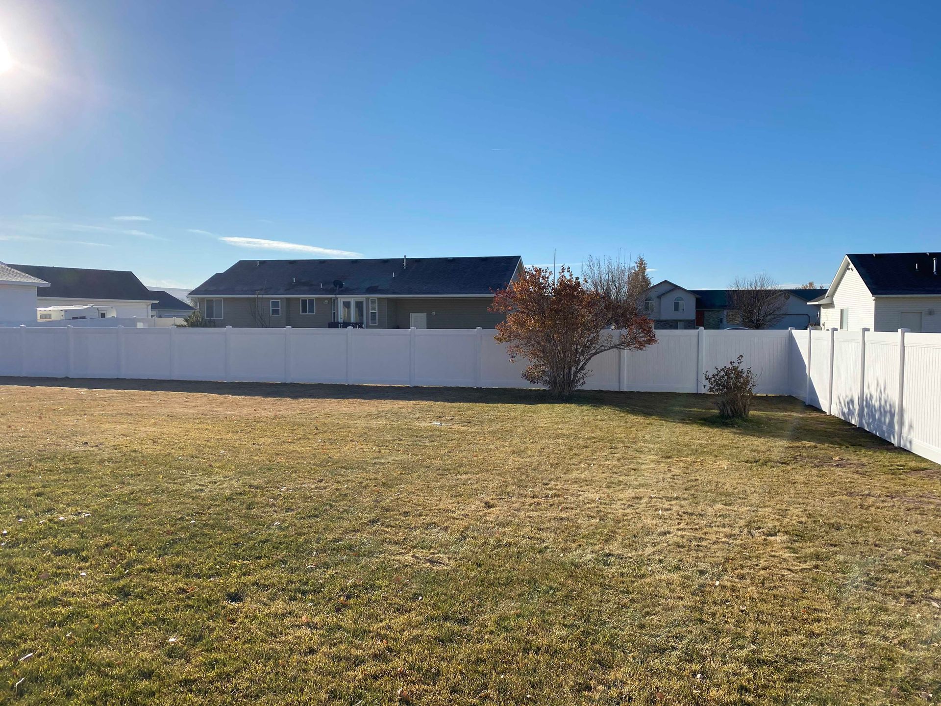 Backyard with white fence, brown grass, and a blue sky. Houses in the background.