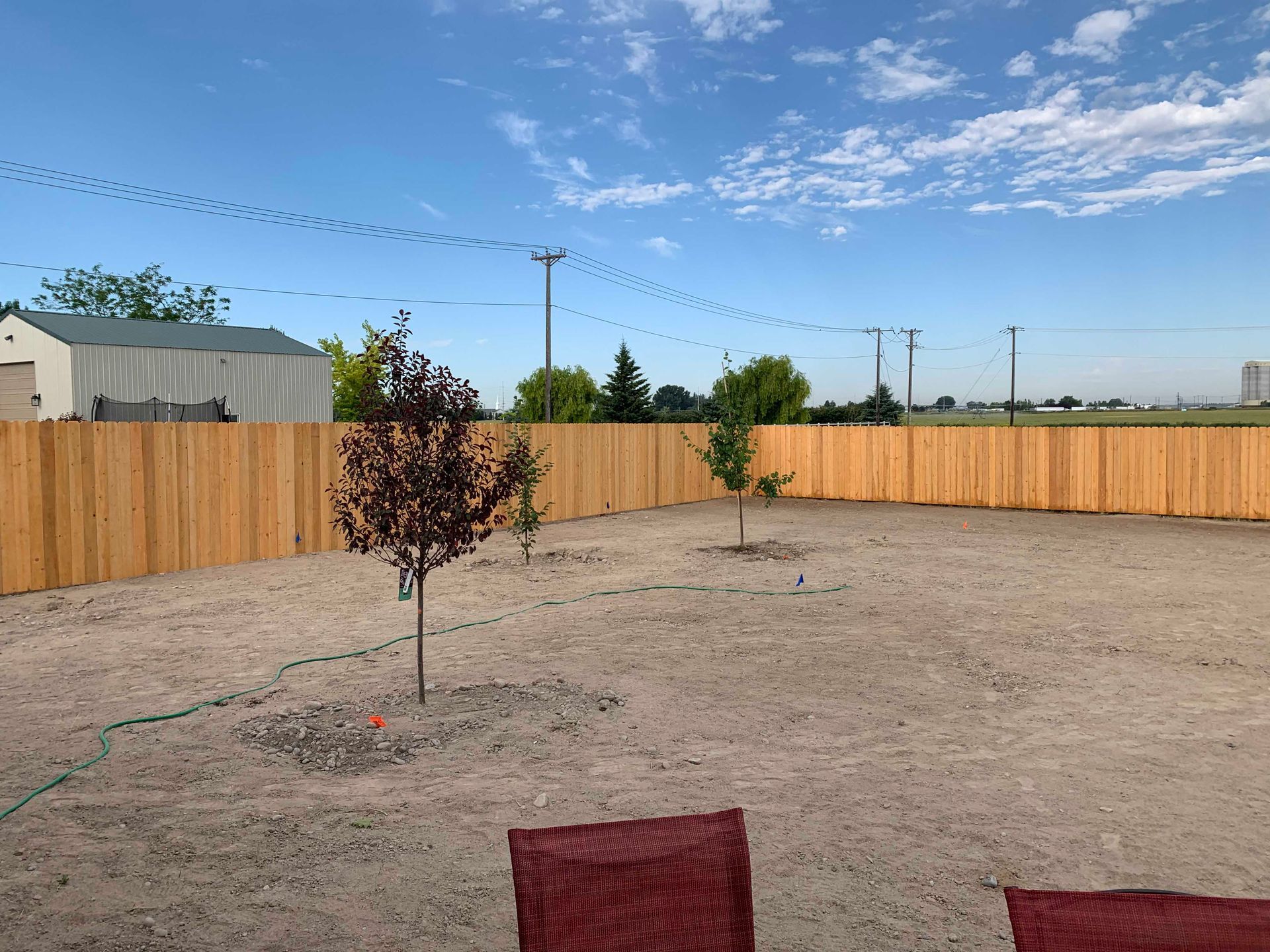 A backyard with a wooden fence, small trees, and a dirt ground under a blue sky.